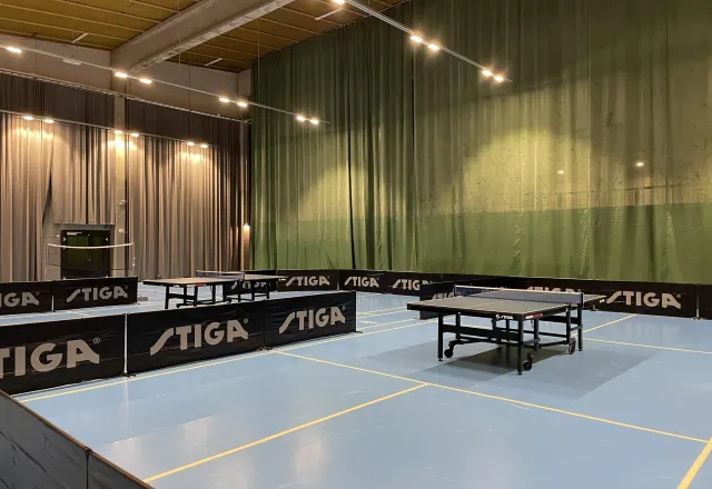 Pingisbord Bollhalla